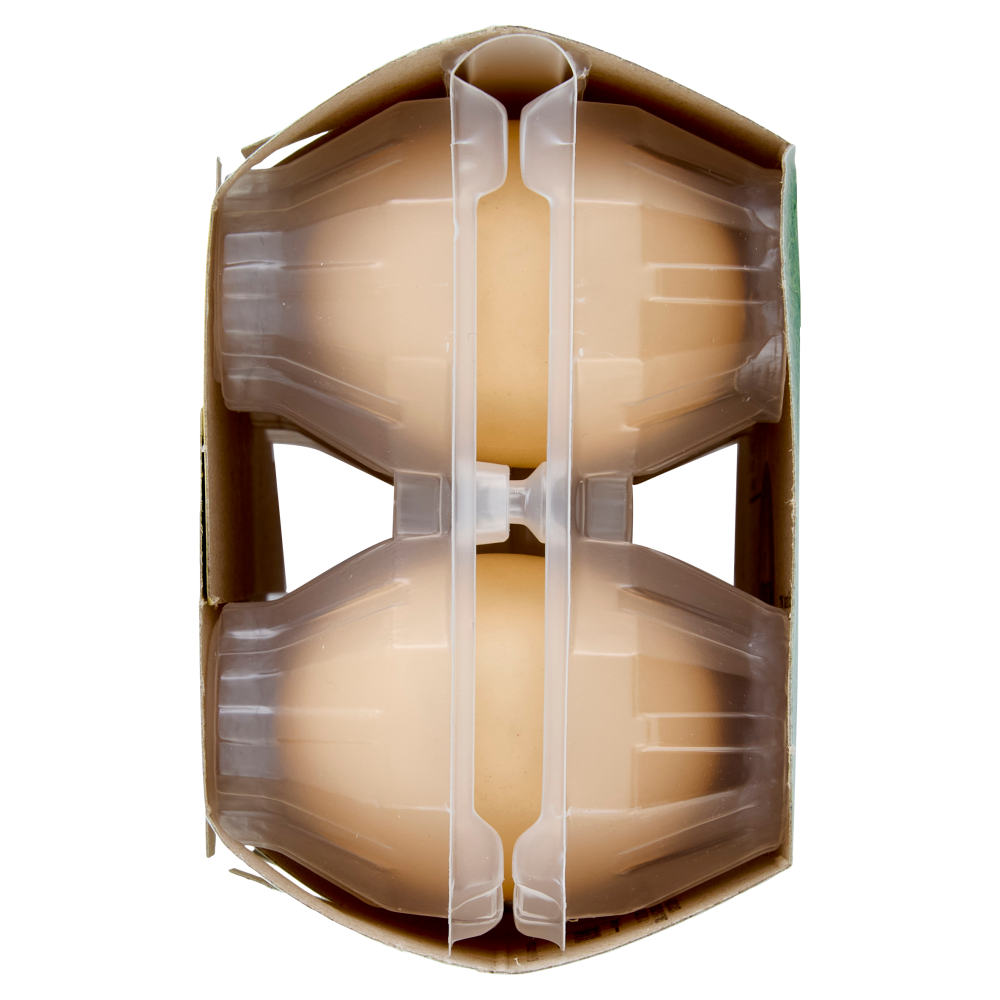 Ovito Bio 6 uova fresche medie biologiche