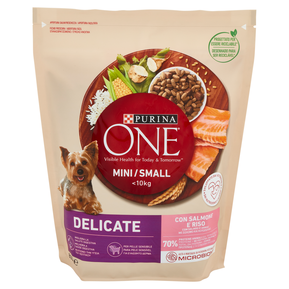 PURINA ONE Mini/Small Delicate Salmone e Riso 800 g