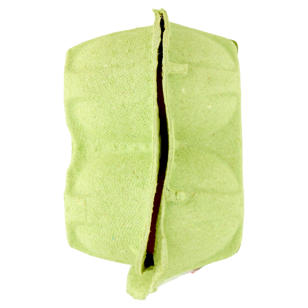 Aia 10 Uova Fresche da allevamento a Terra 530 g