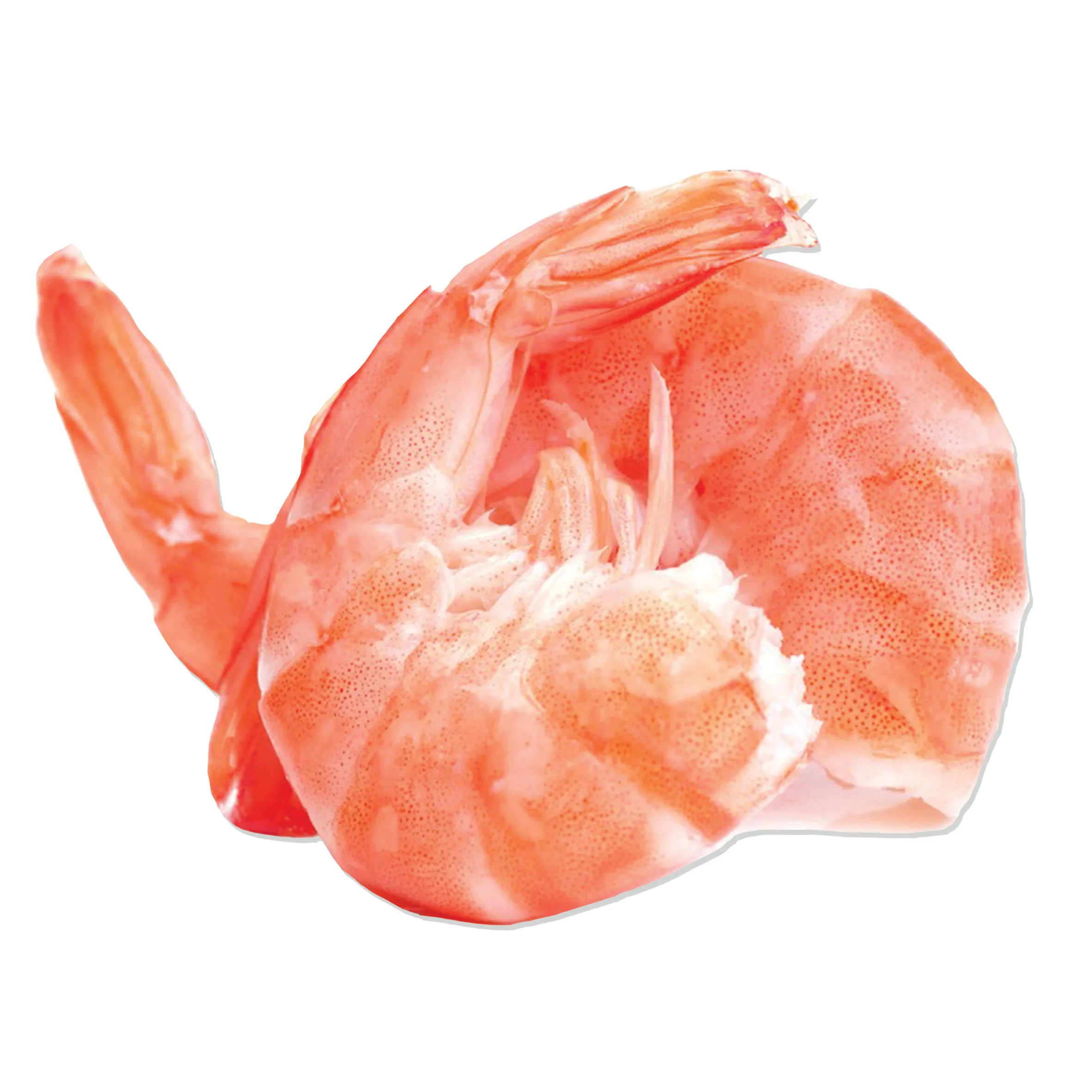 Mazzancolle Tropicali con Coda Bio