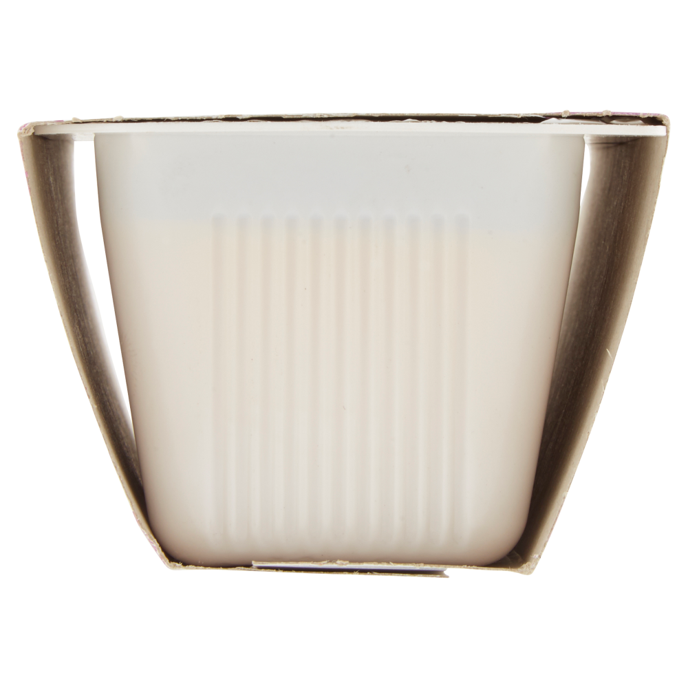 Carnini il Budino 2 x 100 g