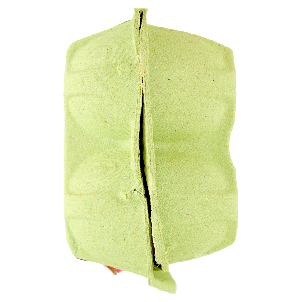 Aia 10 Uova Fresche da allevamento a Terra 530 g