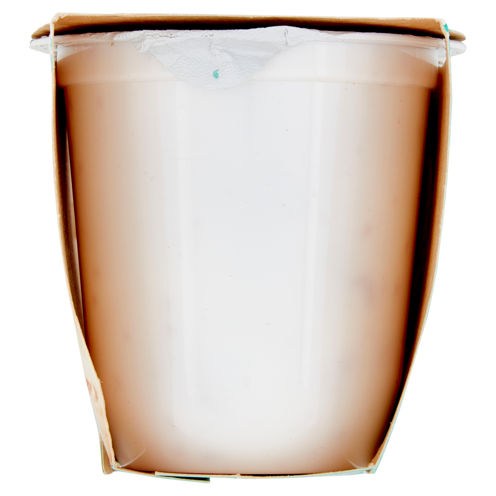 Granarolo Yogurt Cremoso con 5 cereali 2 x 125 g