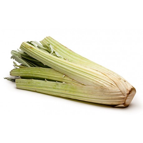 Cardi sfusi origine Italia categoria I