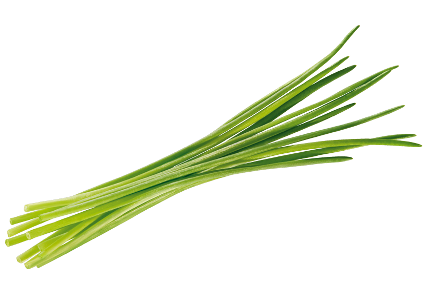 Erba Cipollina 30 g 1 €