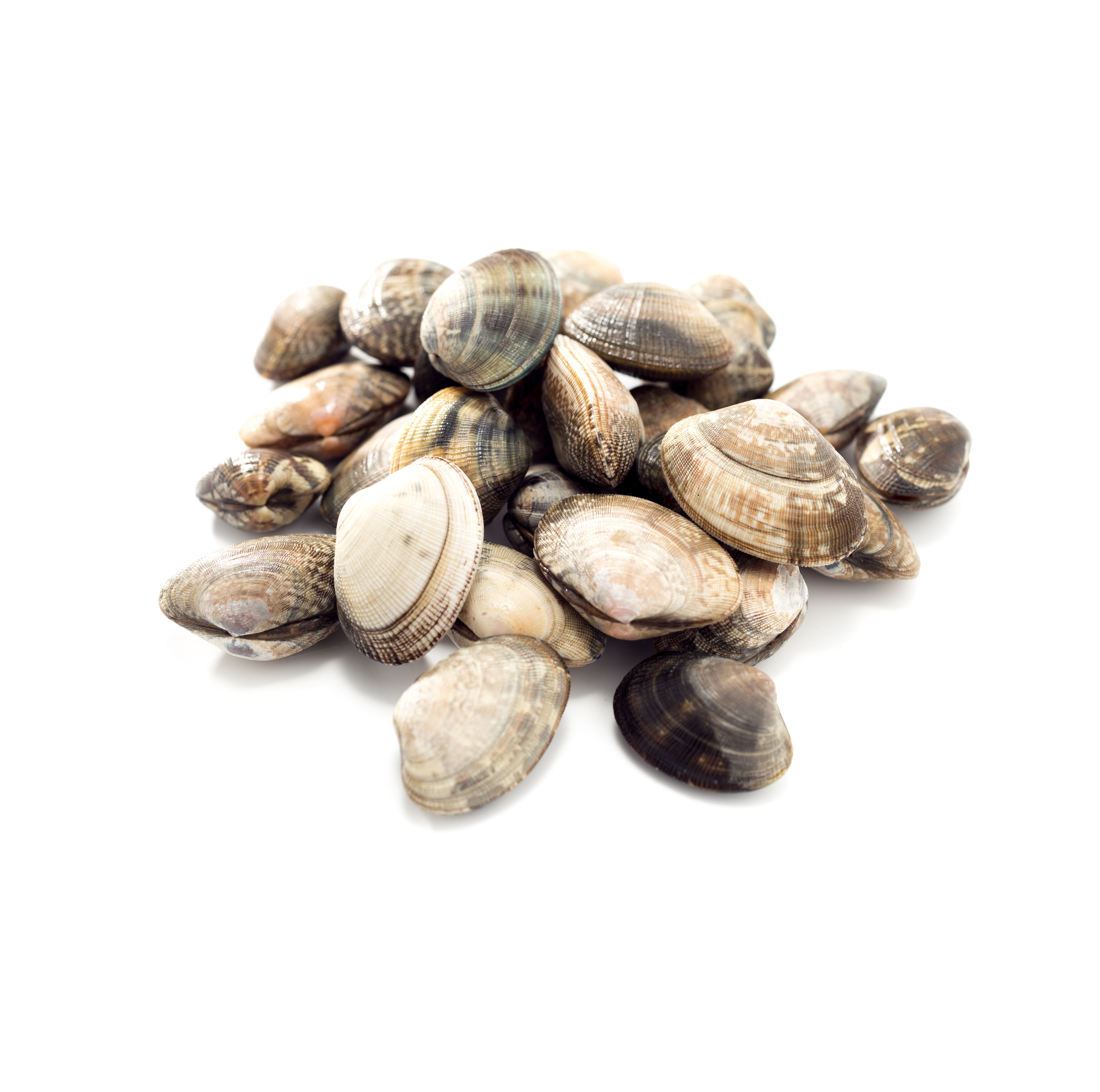 Lupino Nazionale Grande da Banco 500 g Pescati Italia