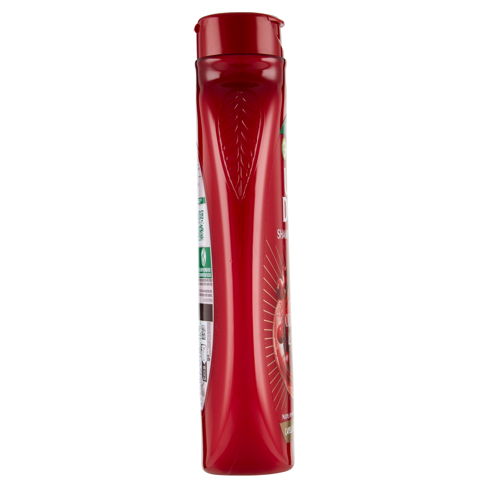Garnier Ultra Dolce Shampoo all'Olio di Argan e Mirtillo Rosso per capelli colorati, 250 ml