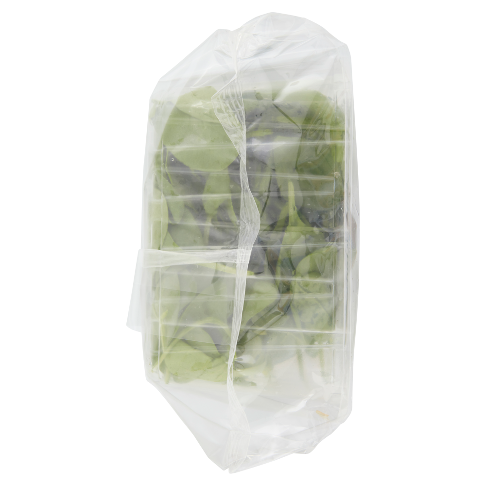 Almaverde bio Spinacino Bio 100 g