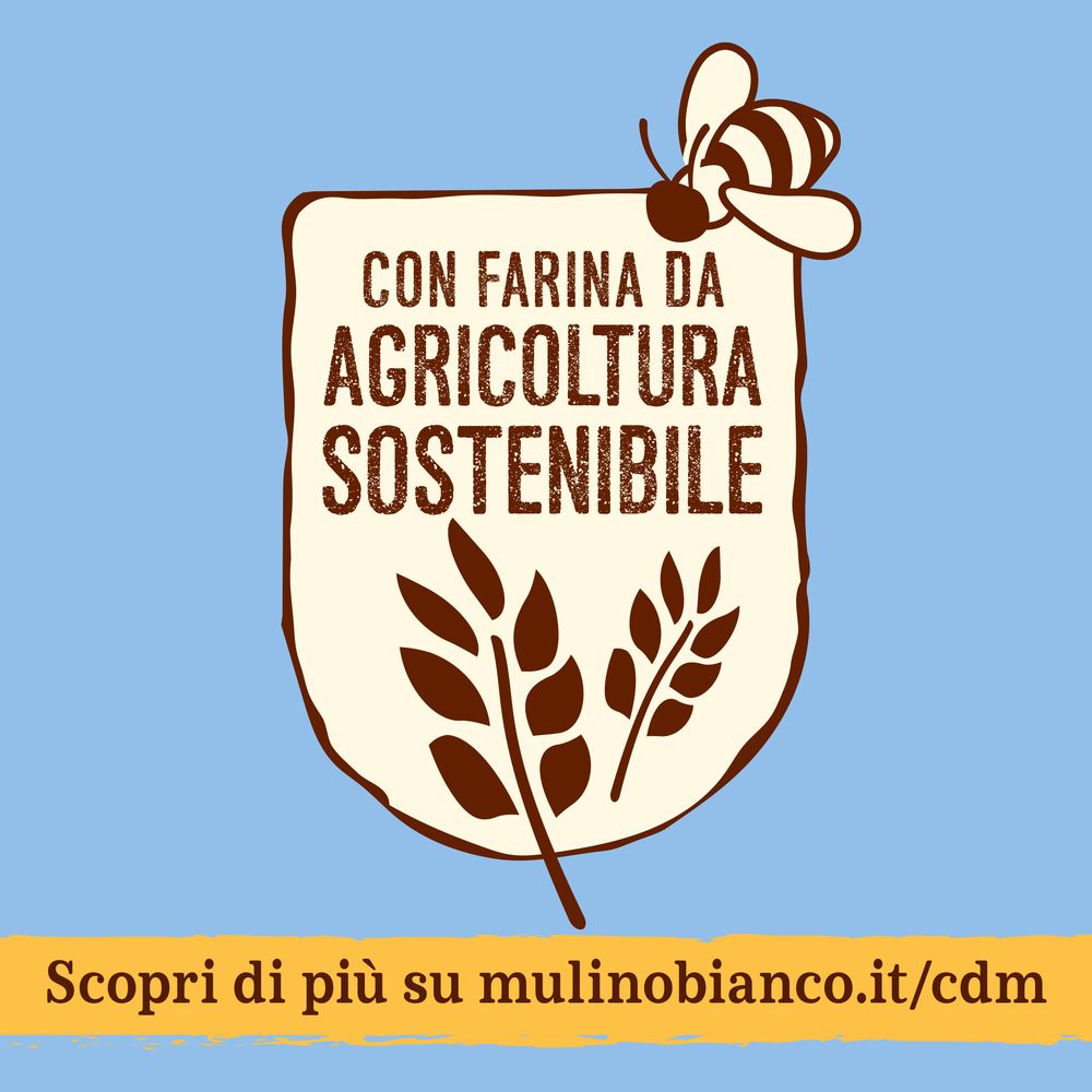 Mulino Bianco Frollini del Piccolo Mugnaio 300g