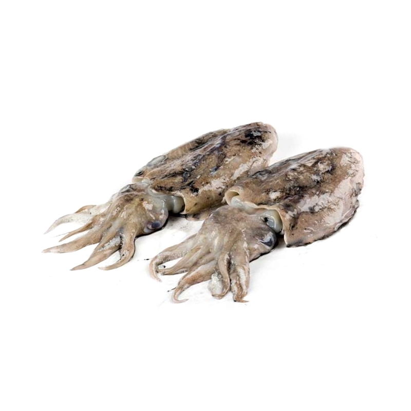 Seppie Nere estera calibro 5/1000