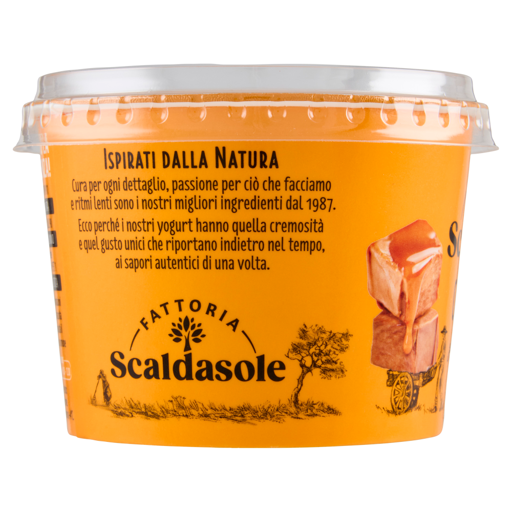 Fattoria Scaldasole Caramello yogurt biologico 250 g