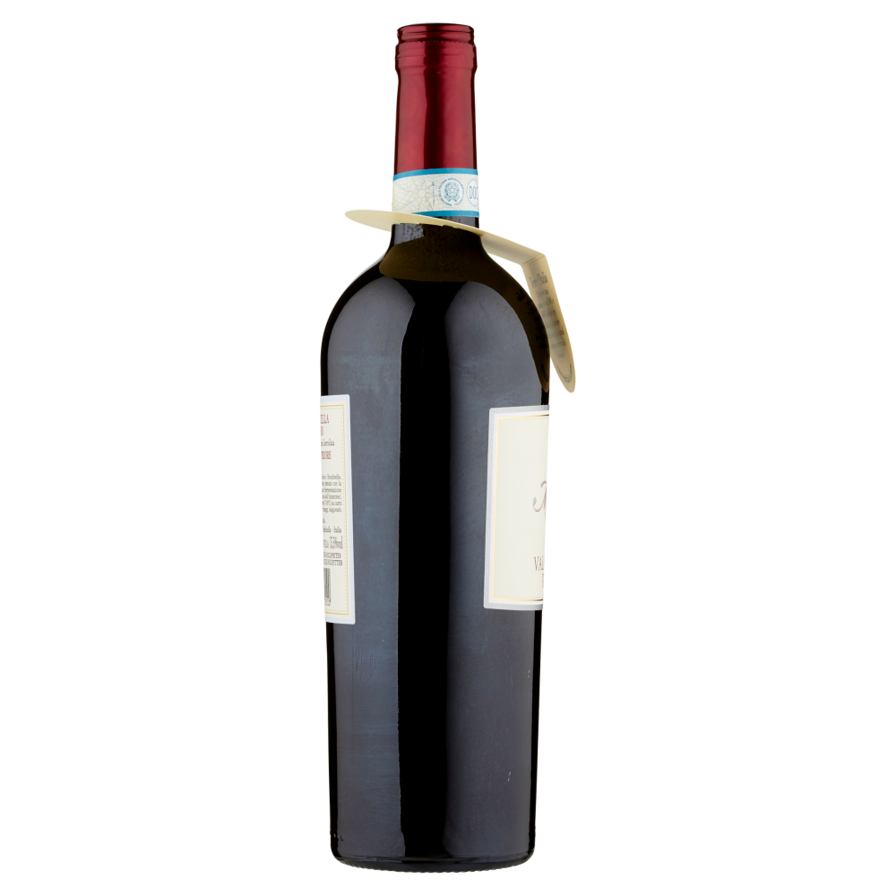 Terre d'Italia Villa Mondi Valpolicella Ripasso DOC Classico Superiore 750 ml