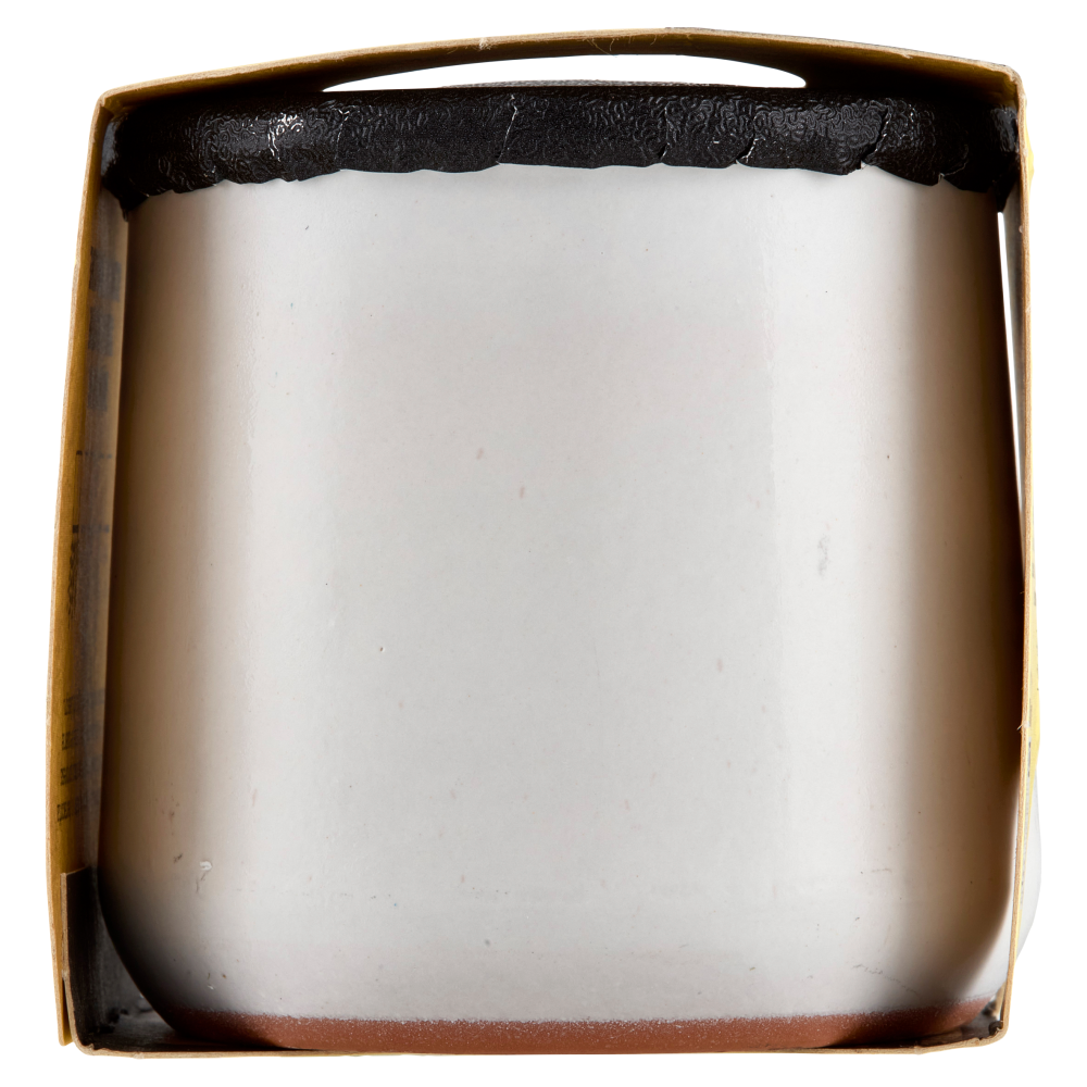 Latteria San Salvatore Dessert Cremoso Vaniglia 120 g