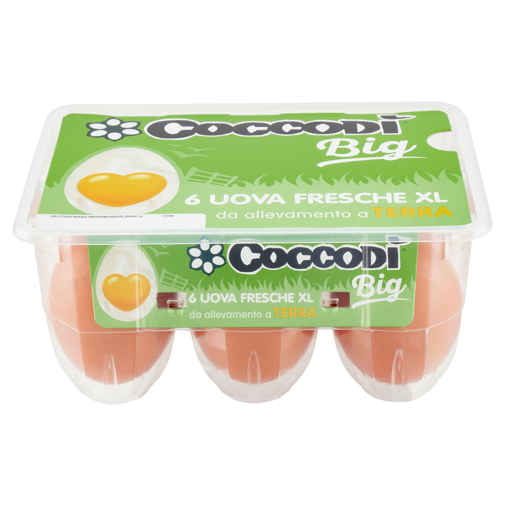 Coccodì Big 6 Uova Fresche XL da allevamento a Terra