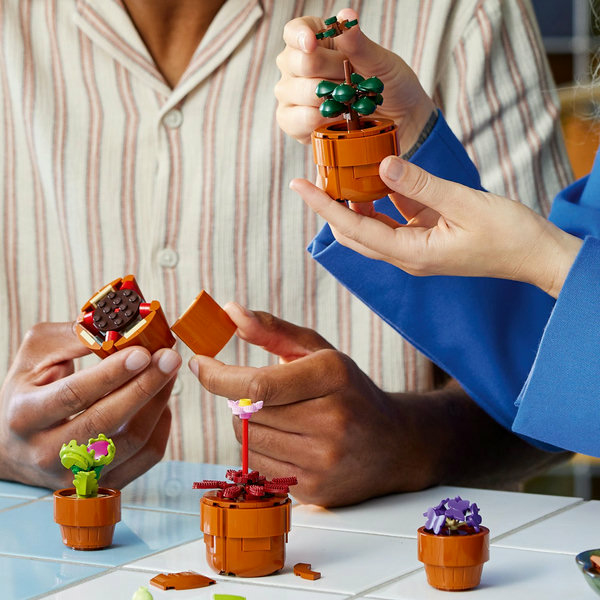 LEGO Botanicals Piantine