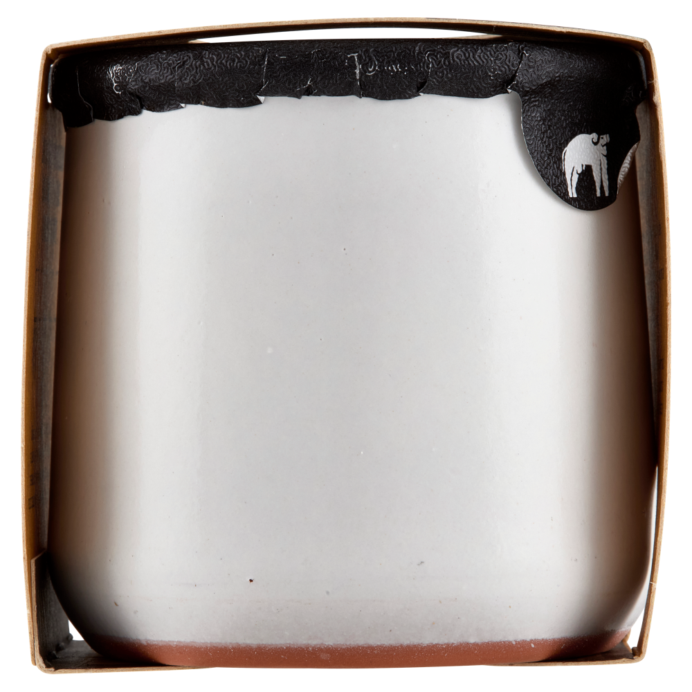 Latteria San Salvatore Dessert Cremoso Crema della Nonna 120 g