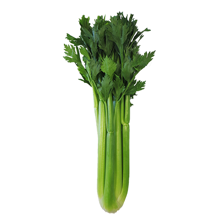 Sedano verde sfuso 300 g Italia