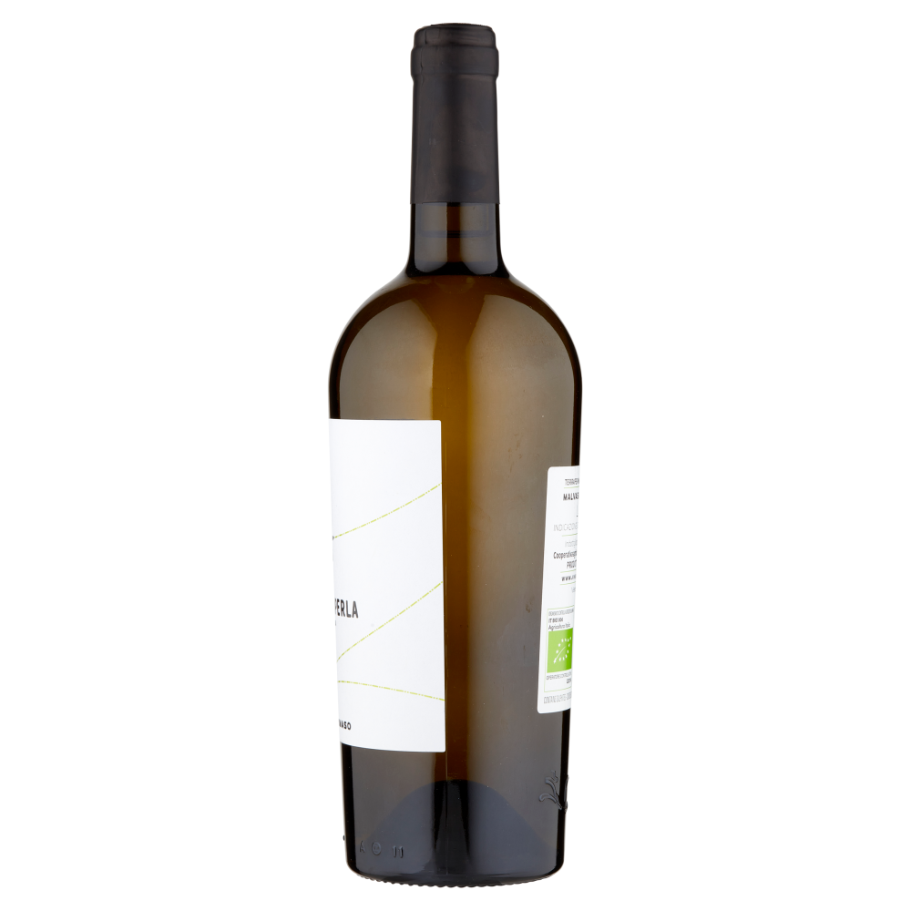 San Tommaso Terraferma Crisoperla Malvasia Lazio IGT 750 ml