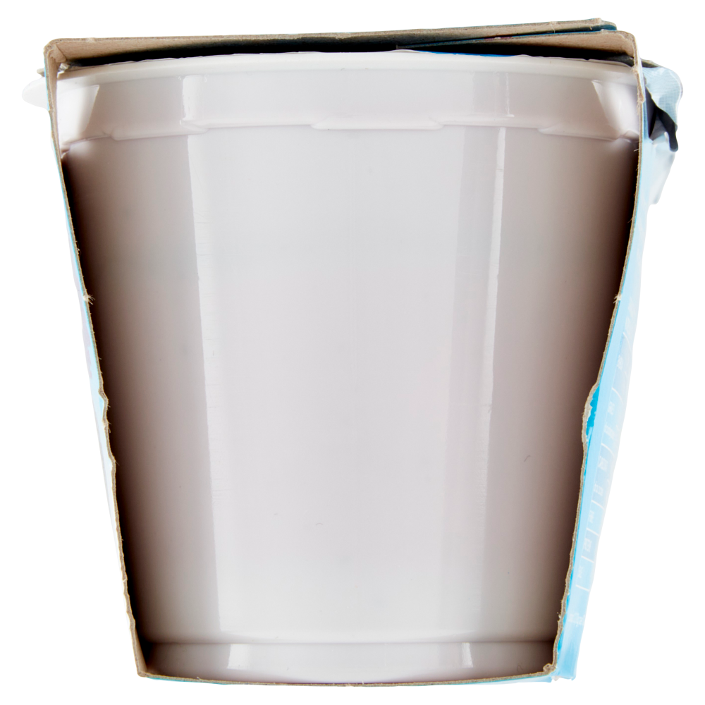 bella vita free Yogurt Magro Senza Lattosio Zero Grassi More e Mirtilli 2 x 125 g