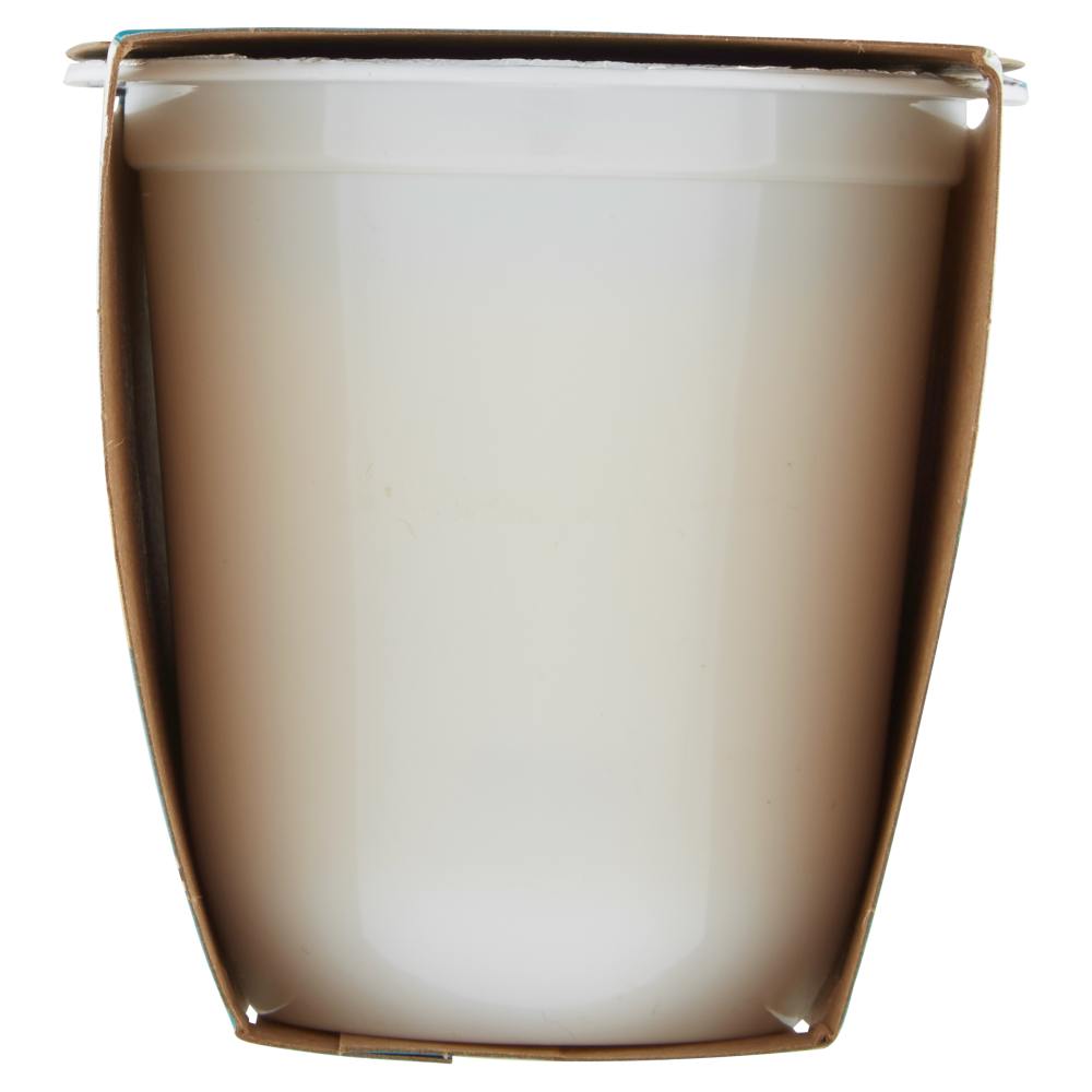 Granarolo 100% Vegetale Fatto con il Cocco Mango 2 x 125 g