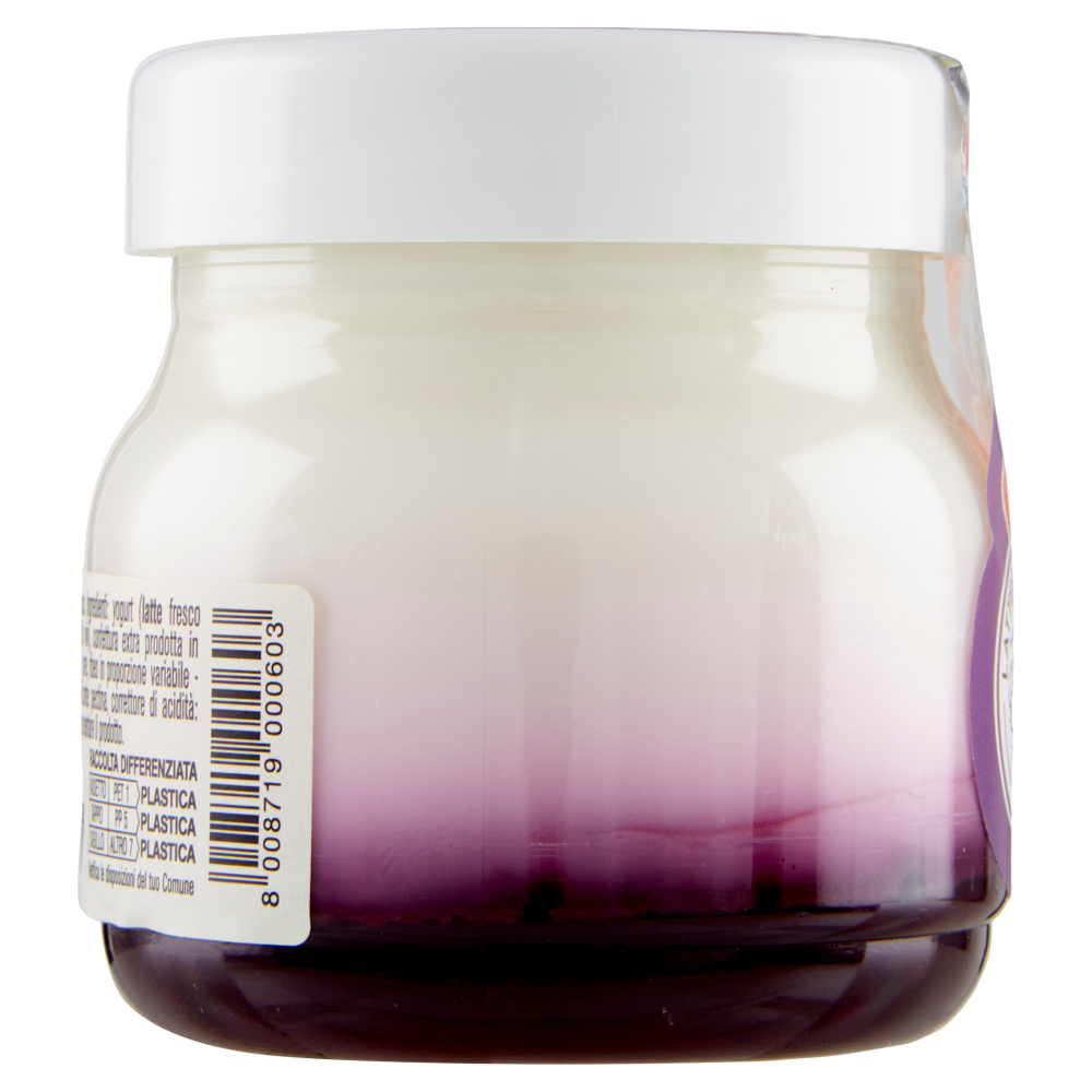 AlpiYò Yogurt di Valtellina Intero con confettura extra di Frutti di Bosco 125 g