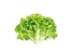 Insalata scarola 200 g