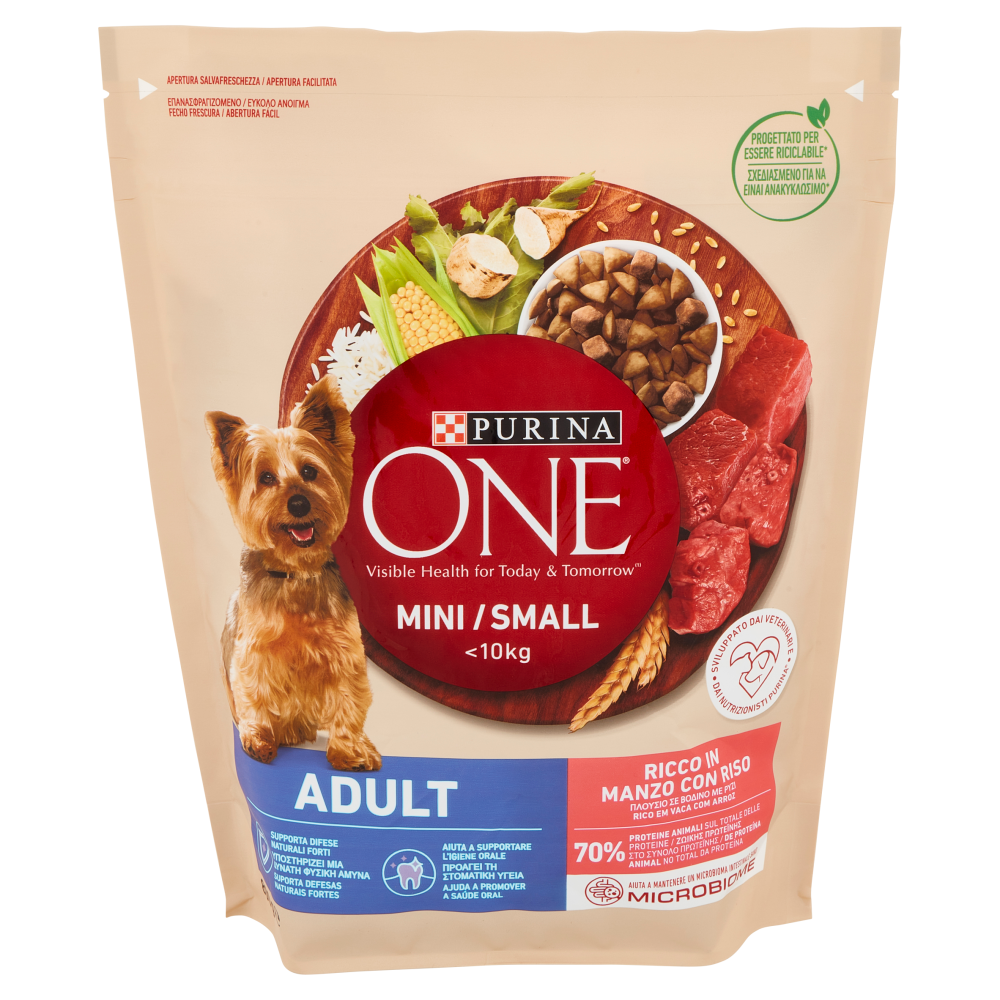 PURINA ONE Mini/Small Adult Ricco in Manzo con Riso 800 g