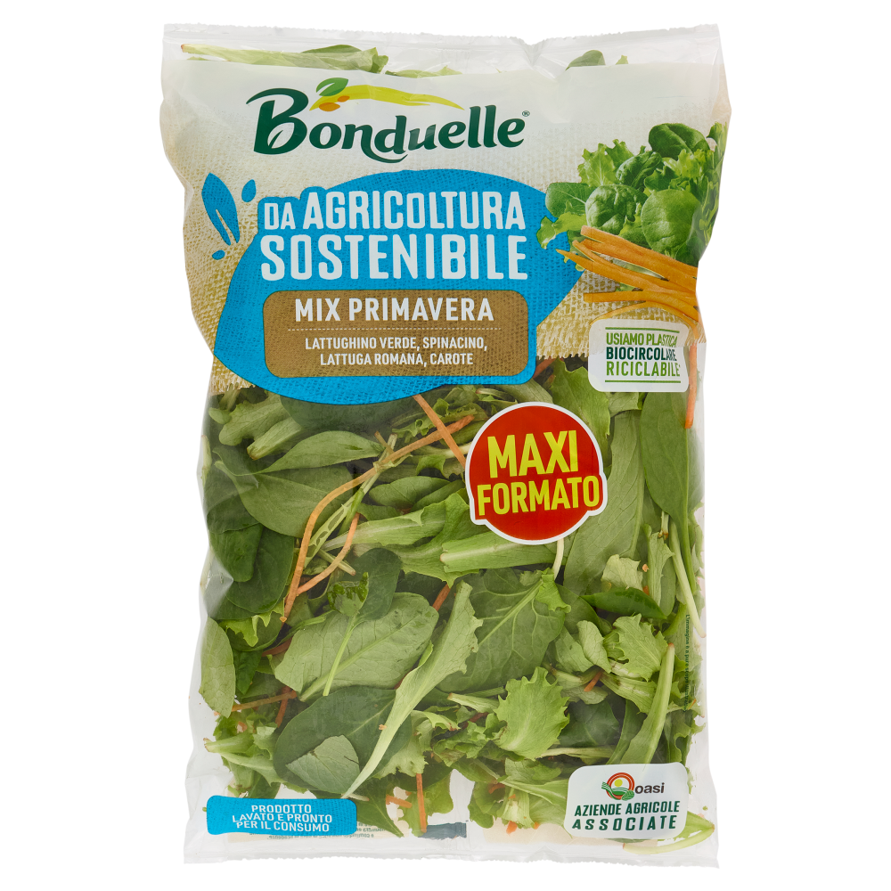 Bonduelle Mix Primavera 200 g 