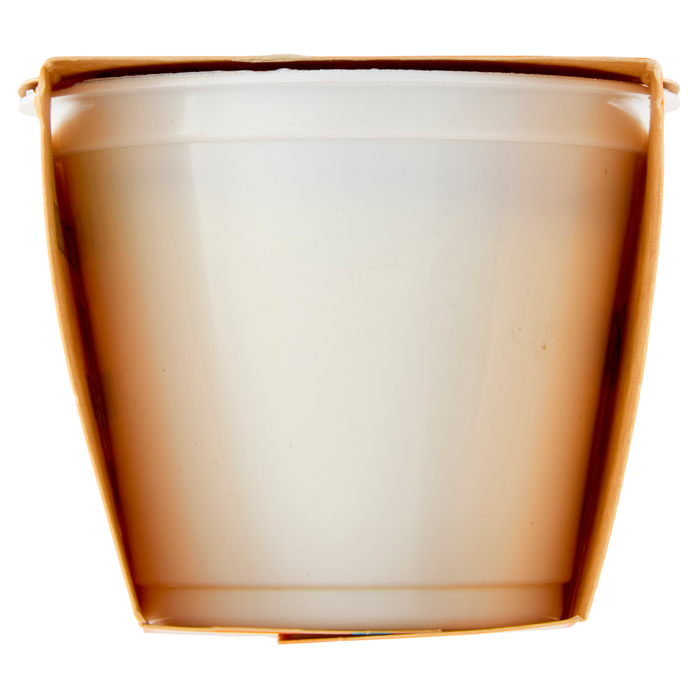 Fattoria Scaldasole Bianco Intero yogurt biologico 2 x 115 g