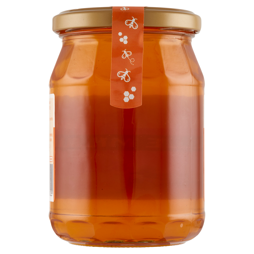 Carrefour Classic Miele Millefiori 500 g