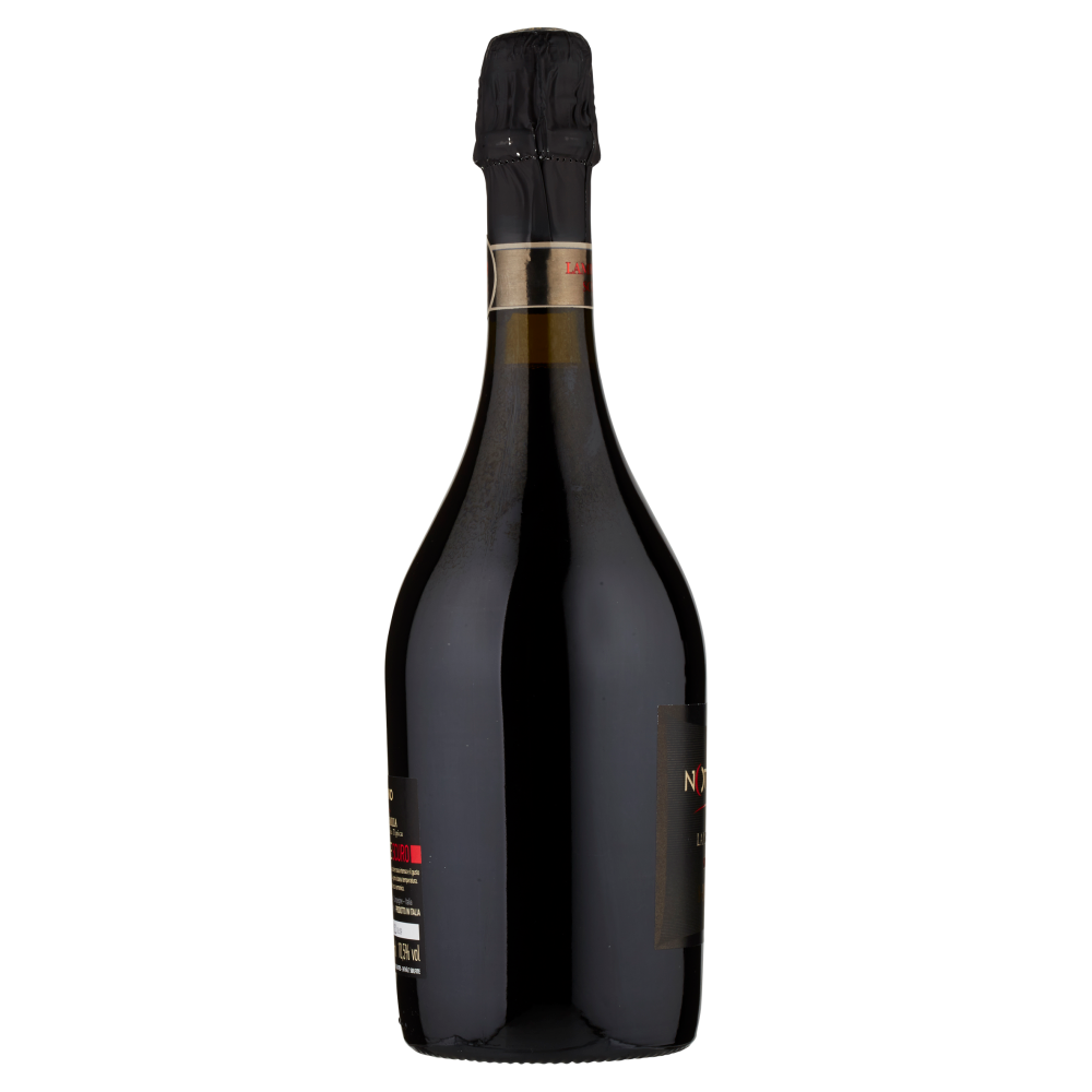 Righi Notturno Lambrusco di Modena DOC Scuro 750 ml