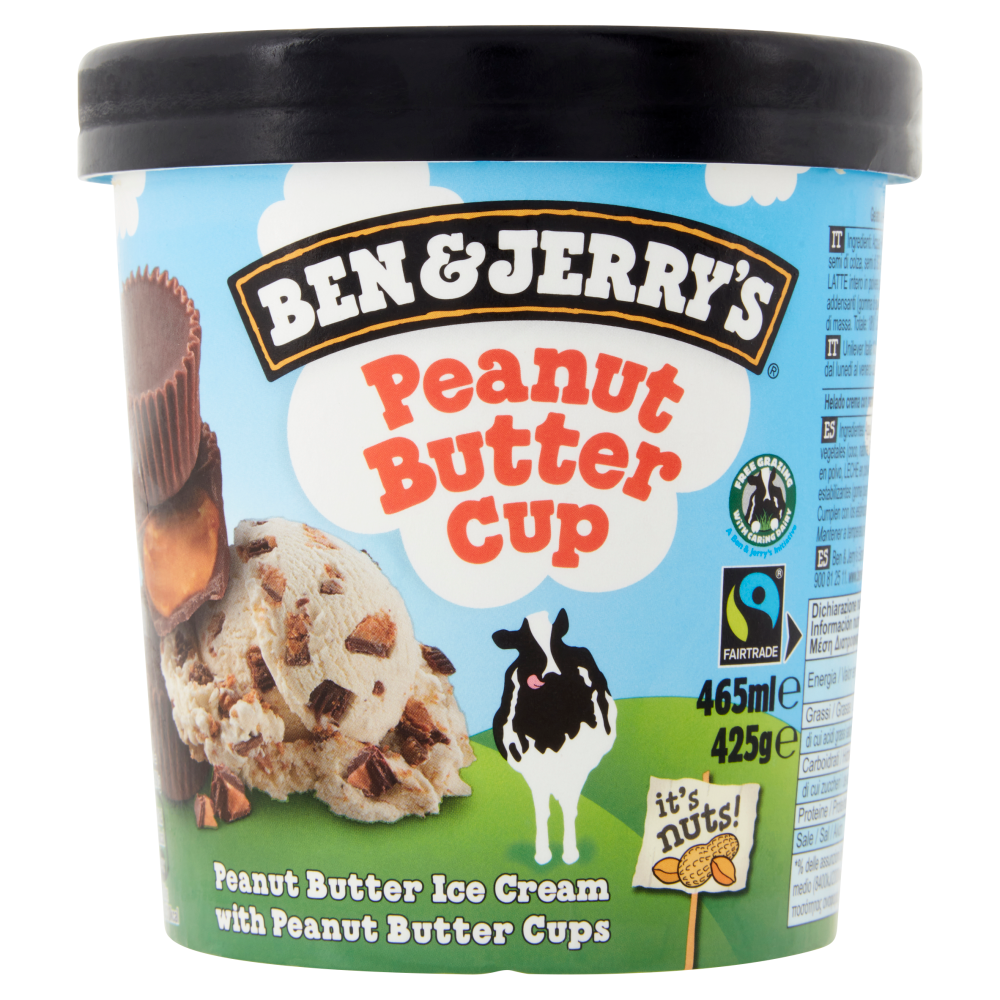 Ben & Jerry's Peanut Butter Cup 425 g