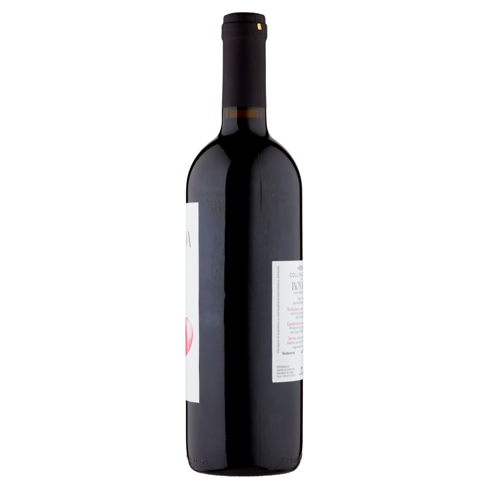 Cantina Valtidone viti&vini Colli Piacentini D.O.C. Bonarda Vino Frizzante Amabile 0,75 l