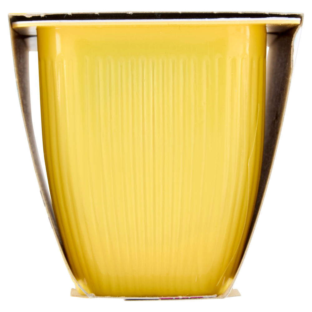 Valsoia Bontà e Salute la Crème Vaniglia 2 x 115 g