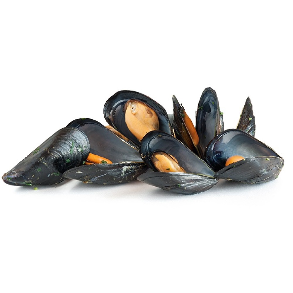 Cozze