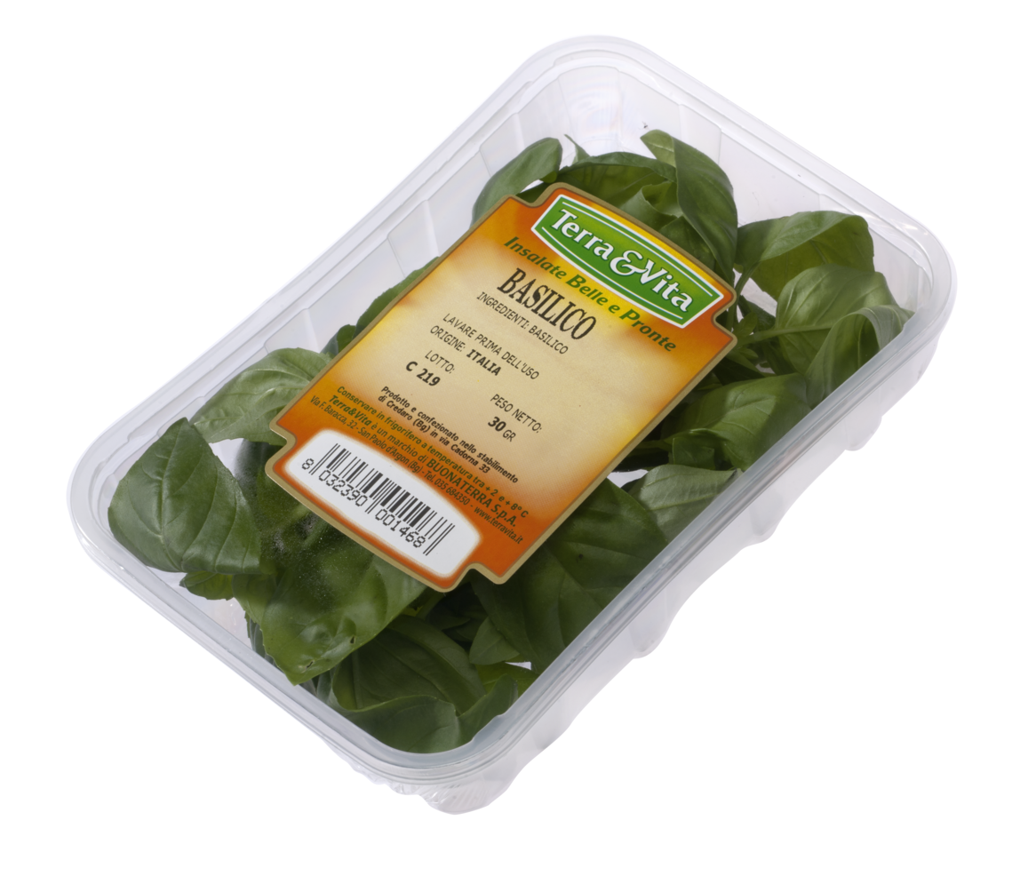 Basilico Tagliato e Lavato