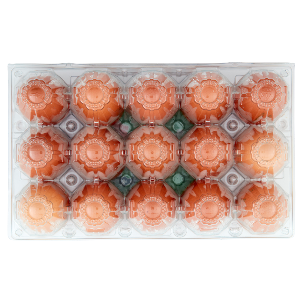 Coccodì Family 15 Uova Allevate a Terra 