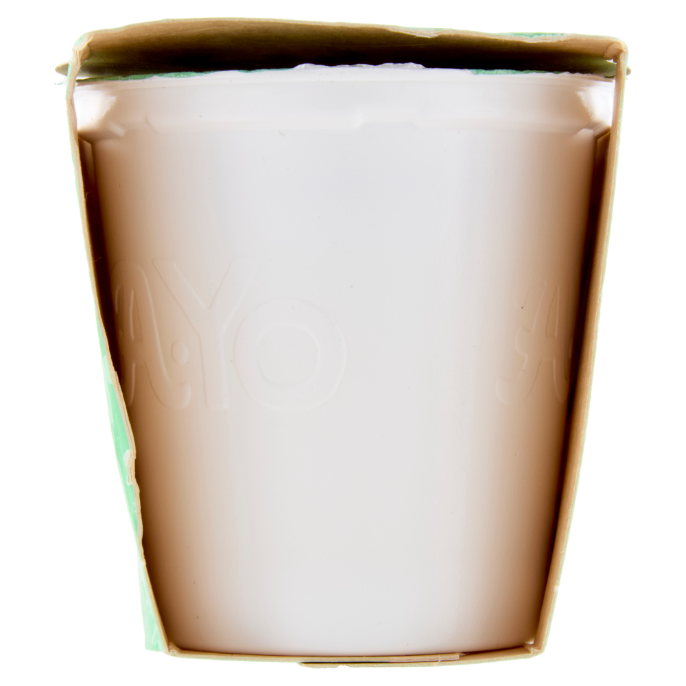 Arborea A-Yo Yogurt Zero Grassi Cocco in Scaglie 2 x 125 g