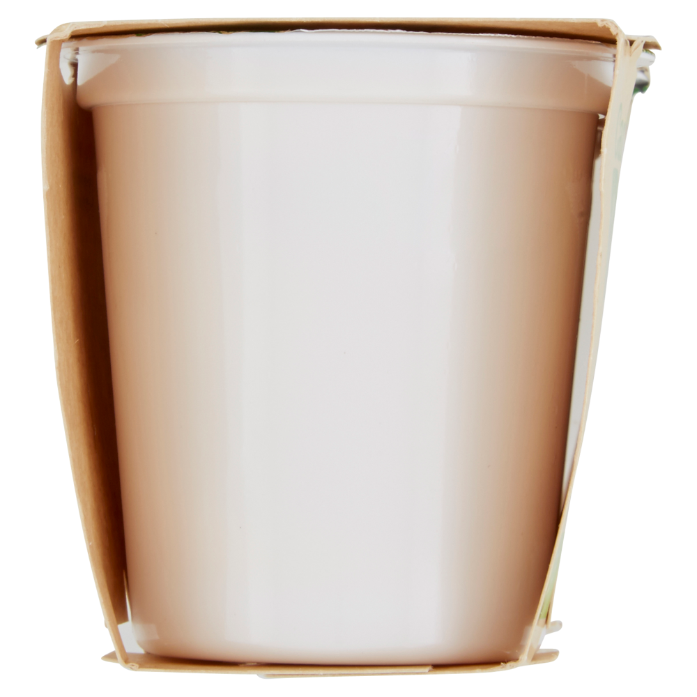 Carrefour Bio SoySì Bianco dolce 2 x 125 g