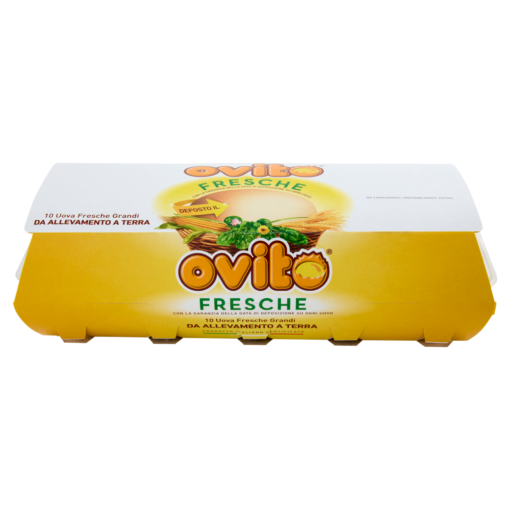 Ovito Fresche 10 Uova Fresche Grandi da Allevamento a Terra