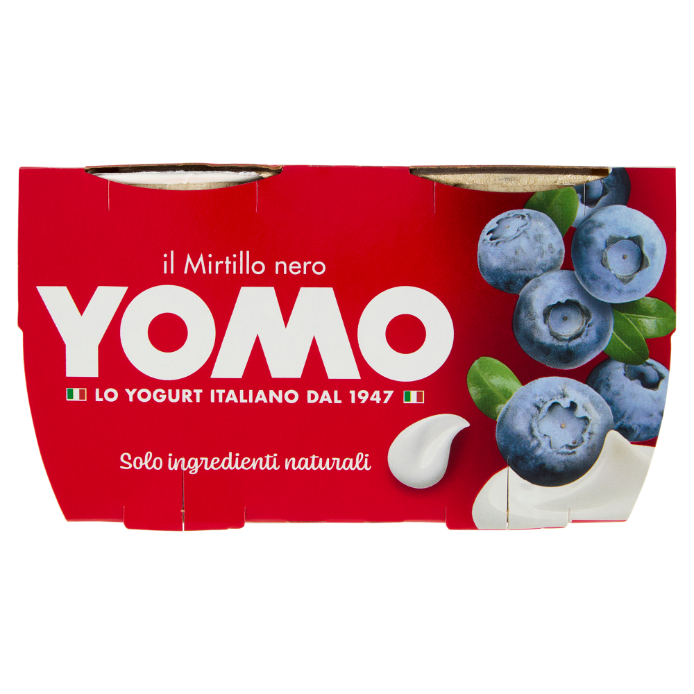 Yomo il Mirtillo nero 2 x 125 g