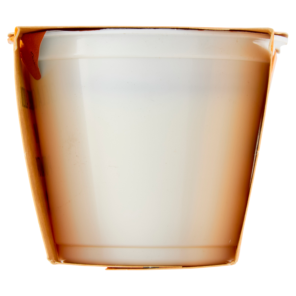 Fattoria Scaldasole Bianco Magro yogurt biologico 2 x 115 g