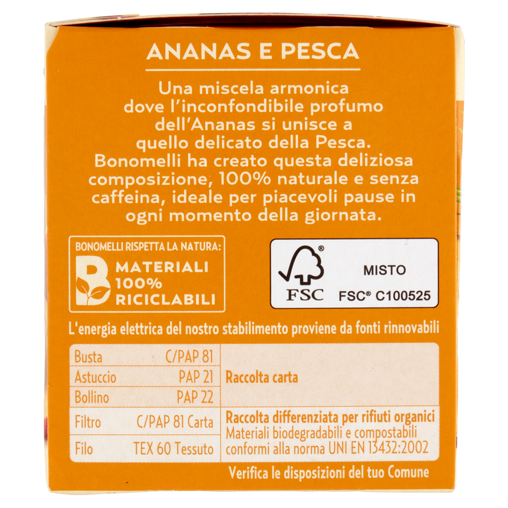 Bonomelli Infusi Fruttosi 100% Naturali Ananas e Pesca 12 Filtri 24 g