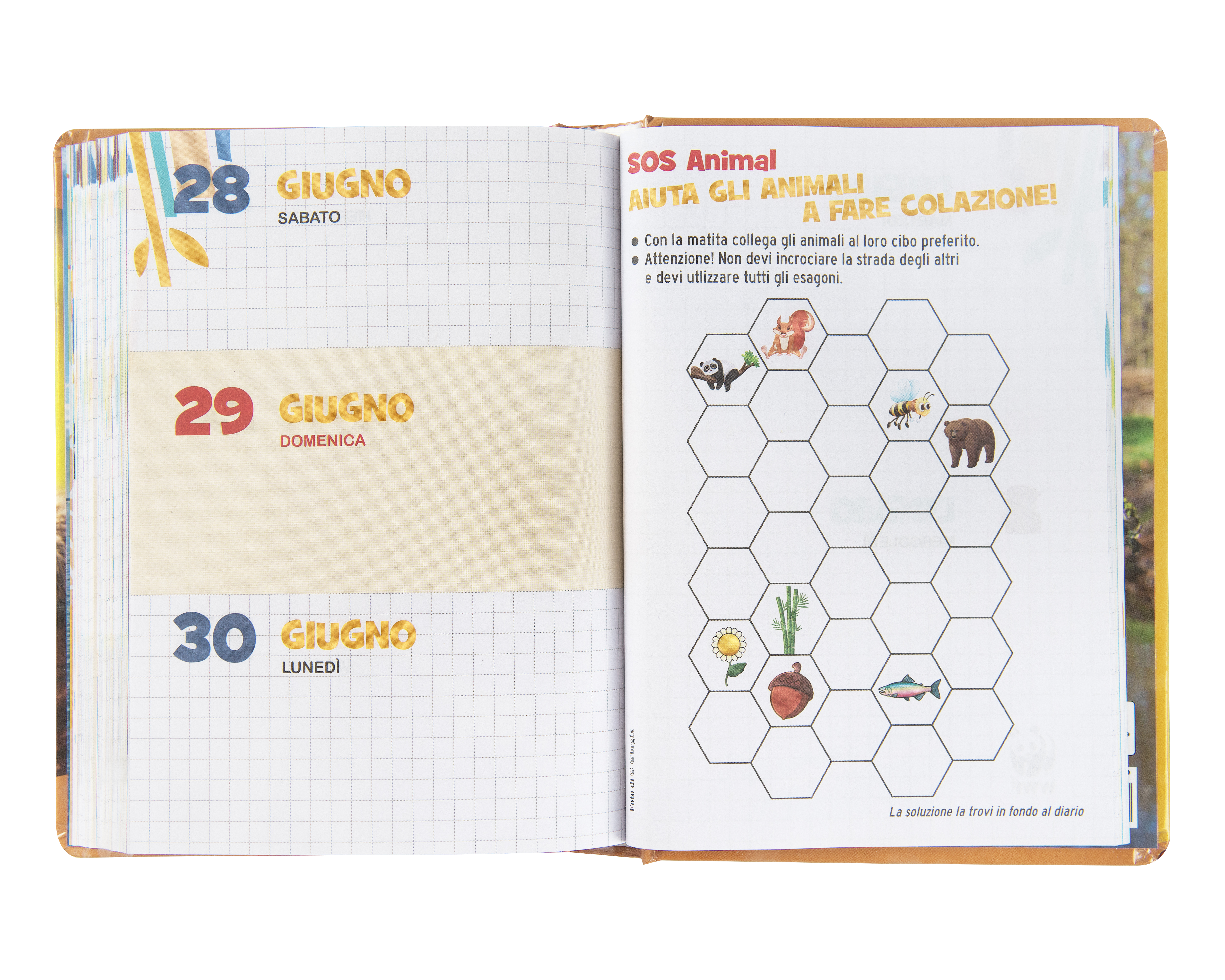 Carrefour 8058263229227 Diario Diario scolastico