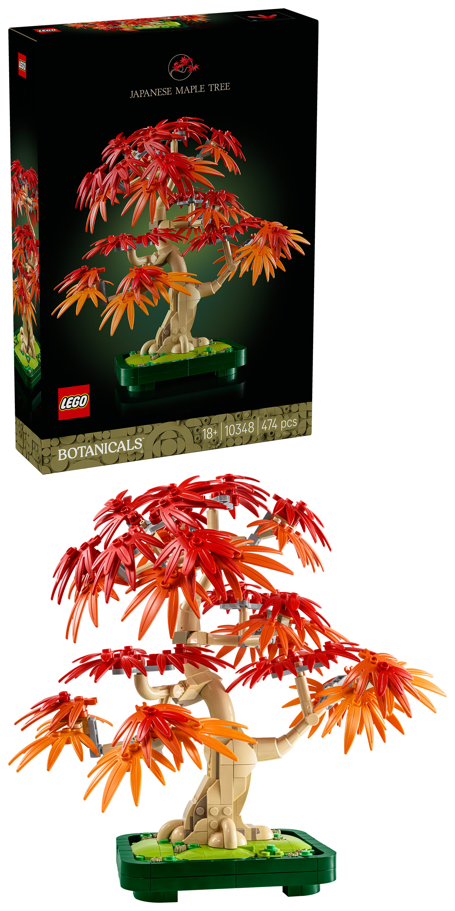 LEGO Botanicals Bonsai di acero rosso giapponese