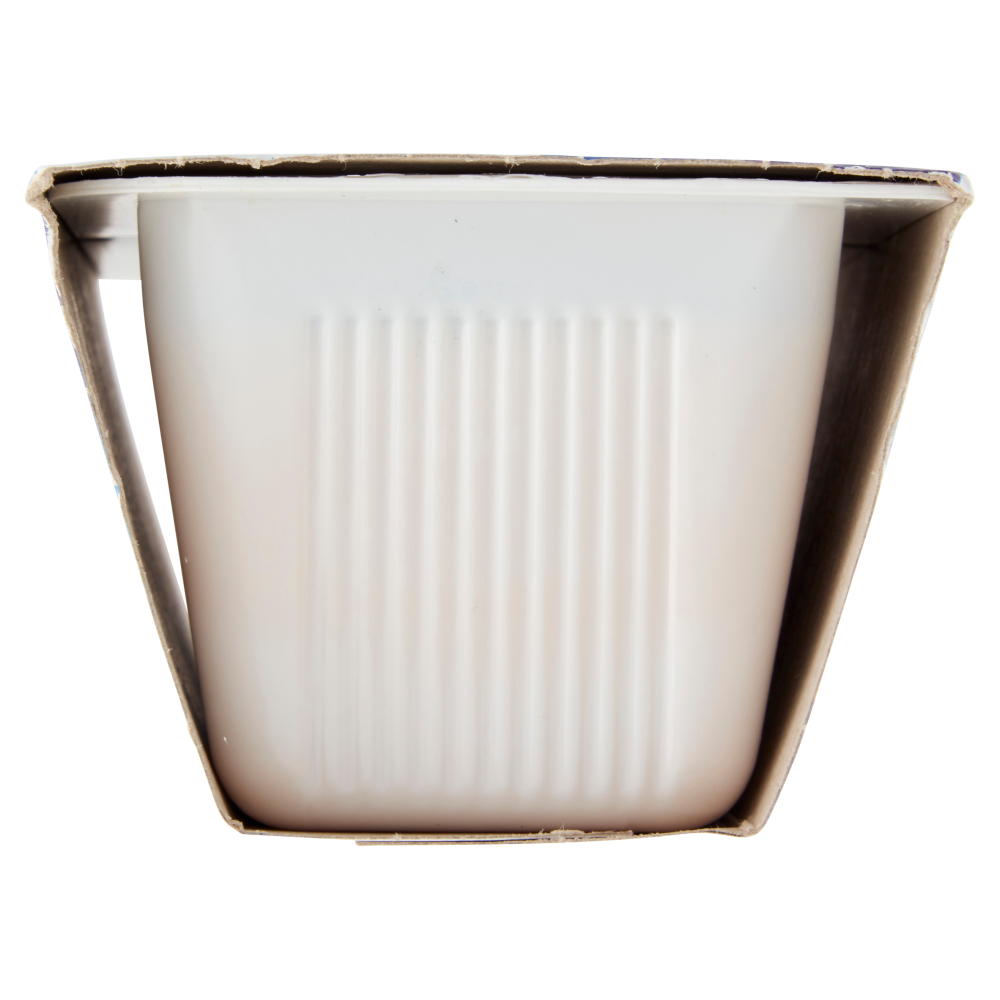 Centrale del Latte di Roma Budino al Caramello 2 x 100 g