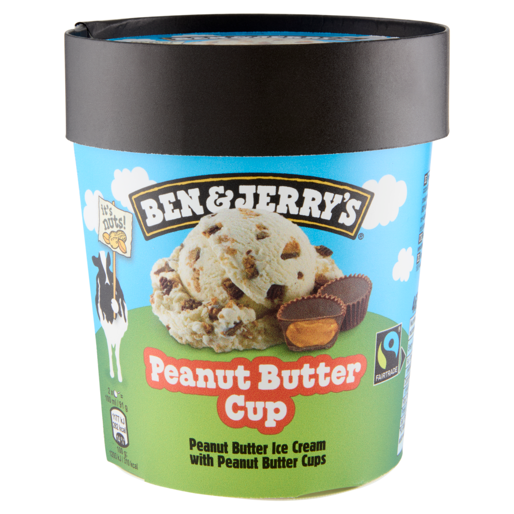 Ben & Jerry's Peanut Butter Cup 425 g