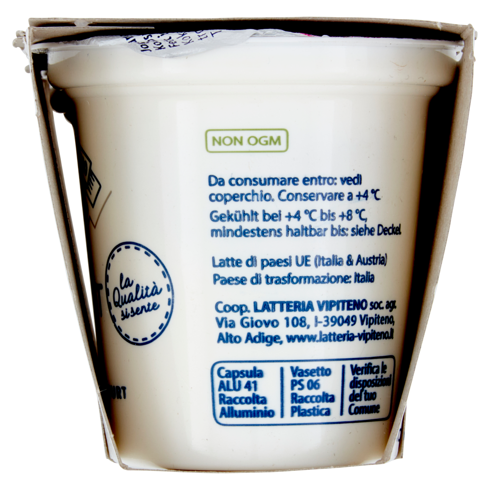 Sterzing Vipiteno Yogurt intero Cocco 2 x 125 g