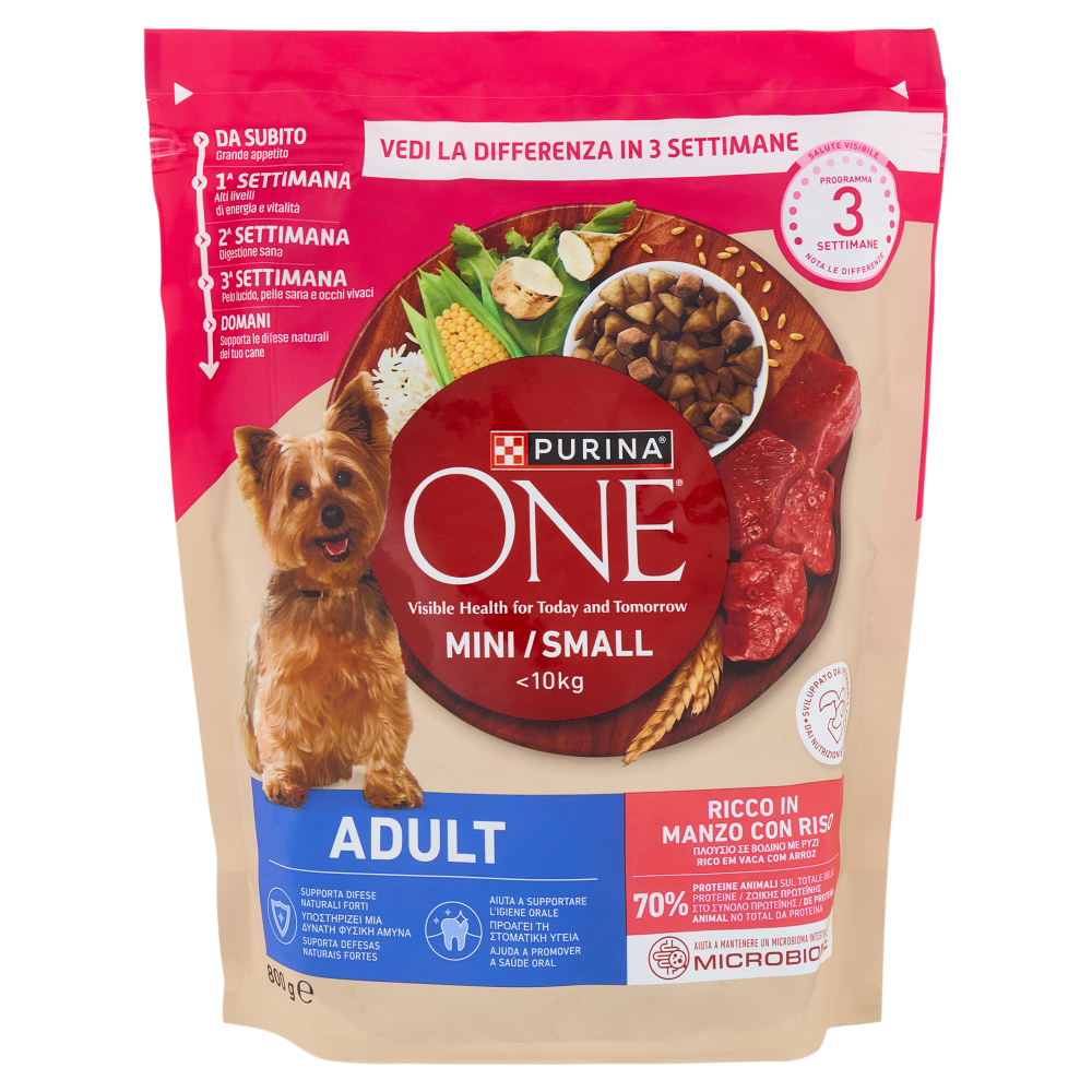 PURINA ONE Mini/Small Adult Manzo e Riso 800 g