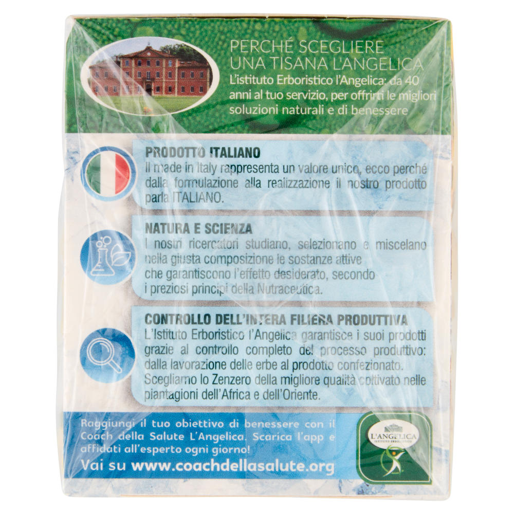 L'Angelica superfood Tisana a Freddo Zenzero e Limone 18 Filtri 31,5 g